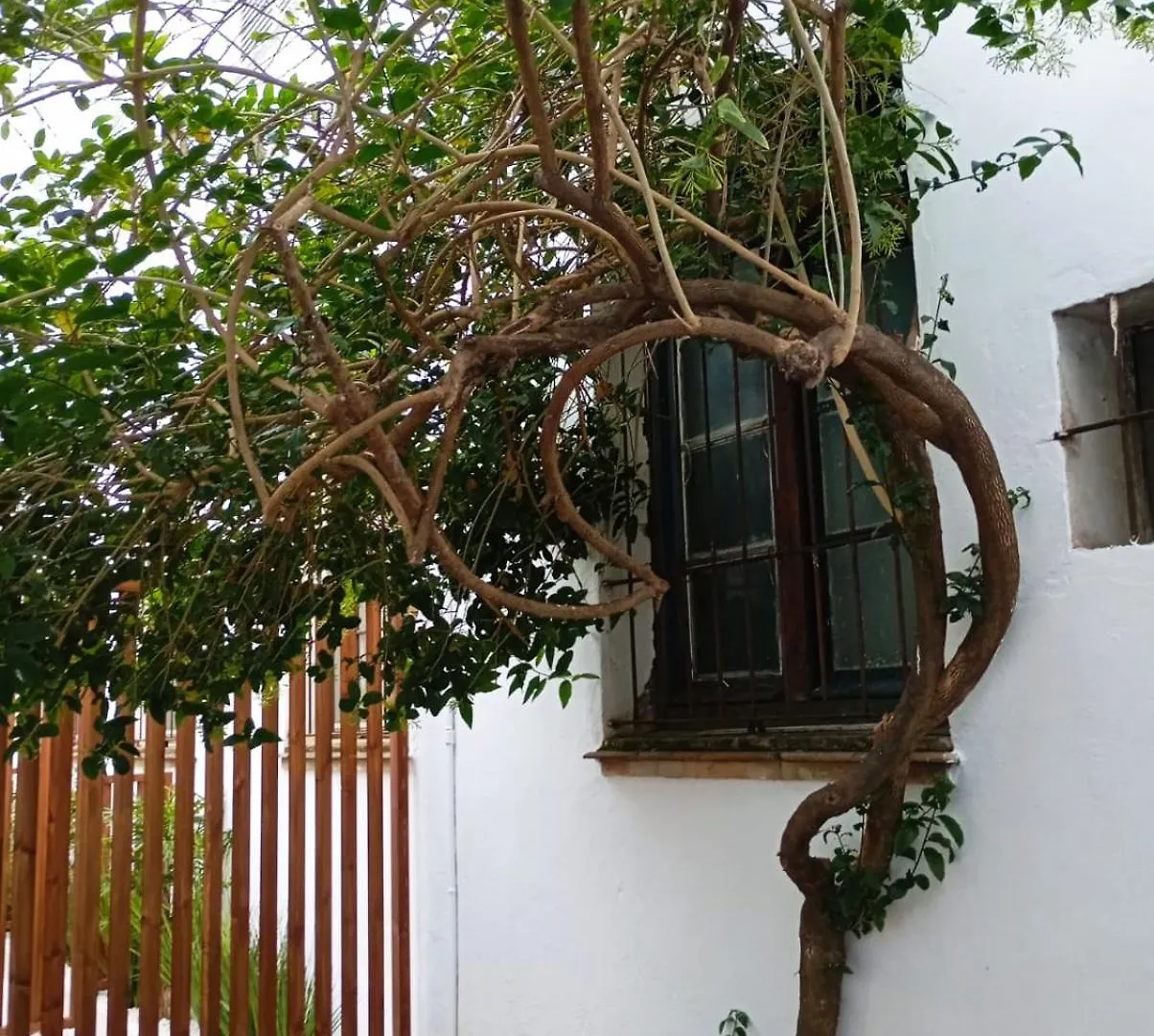 Selecta - Carrion Mejias Apartment Seville